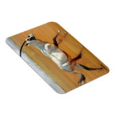 Magnet Flexible Galloping Oryx 2010 (Côté Droit)