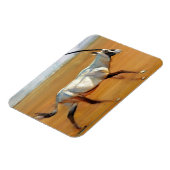 Magnet Flexible Galloping Oryx 2010 (Côté Gauche)