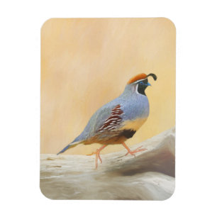 Magnet Flexible Gambrel's Quail Painting Original Bird Art