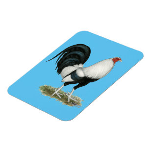 Magnet Flexible Gamecock argenté