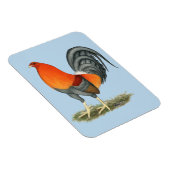 Magnet Flexible Gamecock Blue Red Roster (Côté Droit)