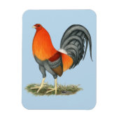 Magnet Flexible Gamecock Blue Red Roster (Vertical)