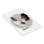 Magnet Flexible Gamecock : Hennie (Côté Droit)