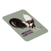 Magnet Flexible Gamecock Sepia (Côté Droit)