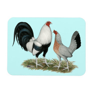 Magnet Flexible Gamefowl argenté