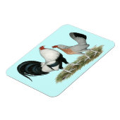 Magnet Flexible Gamefowl argenté (Côté Gauche)