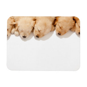 Magnet Flexible Gamme de marionnettes dormantes d'or
