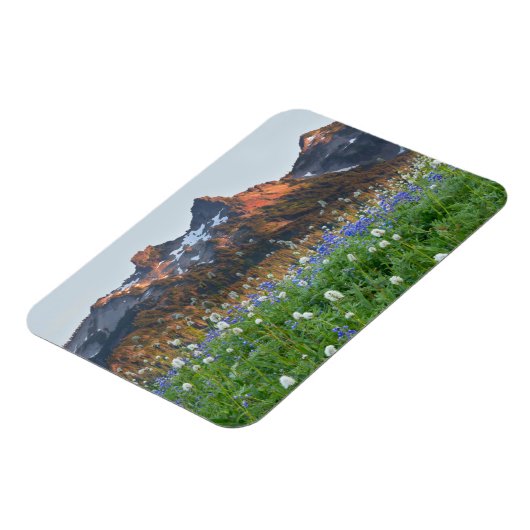 Magnet Flexible Gamme de tatouages et Fleurs sauvages | Mt. Rainie (Côté Gauche)