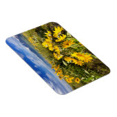 Magnet Flexible Gamme nationale de bisons (Côté Droit)