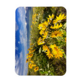 Magnet Flexible Gamme nationale de bisons (Vertical)