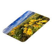 Magnet Flexible Gamme nationale de bisons (Côté Gauche)