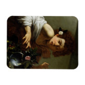 Magnet Flexible Garçon Bitten par a Lizard, c.1595-1600 (huile sur (Horizontal)