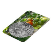 Magnet Flexible Garden Cherry Tomates Ajouter Votre Photo (Côté Gauche)