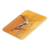 Magnet Flexible Gazelle arabe 2010 (Côté Gauche)