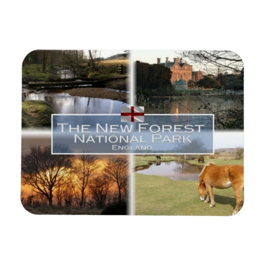 Magnet Flexible GB Royaume-Uni - Angleterre - New Forest N.P. - (Horizontal)
