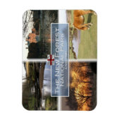 Magnet Flexible GB Royaume-Uni - Angleterre - New Forest N.P. - (Vertical)