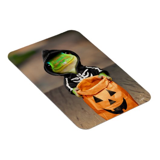 Magnet Flexible Gecko Skeleton (Côté Droit)