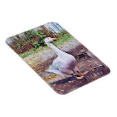 MAGNET FLEXIBLE GEESE (Côté Droit)