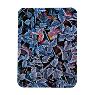 Magnet Flexible Gel sur les feuilles d'automne, Oregon