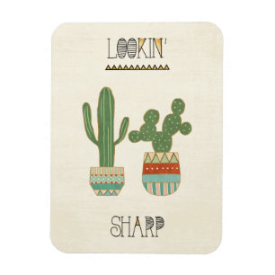 Magnet Flexible Géo IX du sud-ouest   Recherche d'une ligne