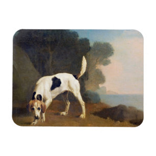 Magnet Flexible George Stubbs   Foxhound on the Scent, c.1760 (oil