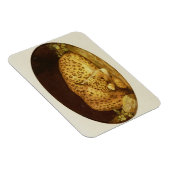 Magnet Flexible George Stubbs | Léopard dormant, 1777 (émail sur (Côté Droit)