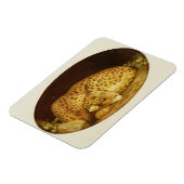 Magnet Flexible George Stubbs | Léopard dormant, 1777 (émail sur (Côté Gauche)