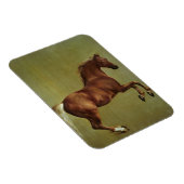Magnet Flexible George Stubbs | Whistlejacket, 1762 (Côté Droit)