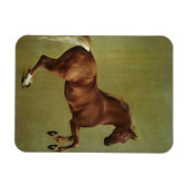 Magnet Flexible George Stubbs | Whistlejacket, 1762 (Horizontal)