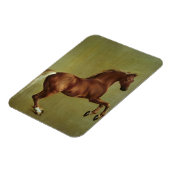 Magnet Flexible George Stubbs | Whistlejacket, 1762 (Côté Gauche)
