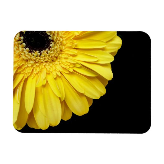 Magnet Flexible Gerbera Flower (Horizontal)