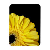 Magnet Flexible Gerbera Flower (Vertical)