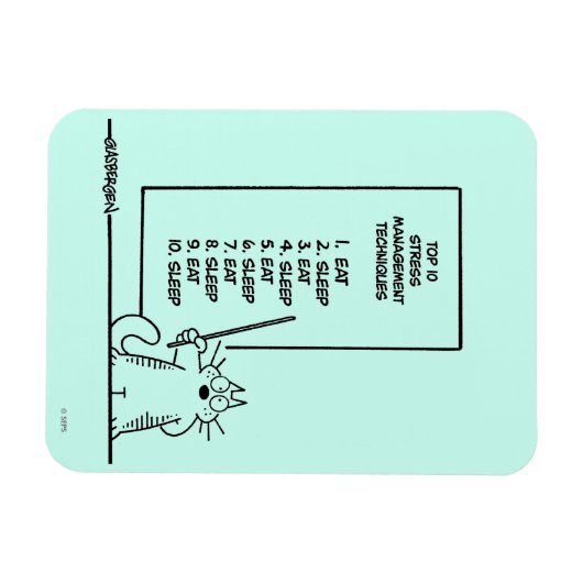 Magnet Flexible Gestion du temps (Horizontal)