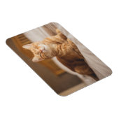 Magnet Flexible Getty Images | (Côté Droit)