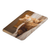 Magnet Flexible Getty Images | (Côté Gauche)