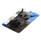 Magnet Flexible Giant Schnauzer (Côté Gauche)