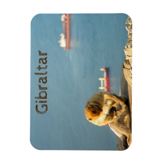 Magnet Flexible Gibraltar Barbary ape (Vertical)
