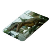 Magnet Flexible Giganotosaurus Dinosaur Aimant flexible (Côté Gauche)