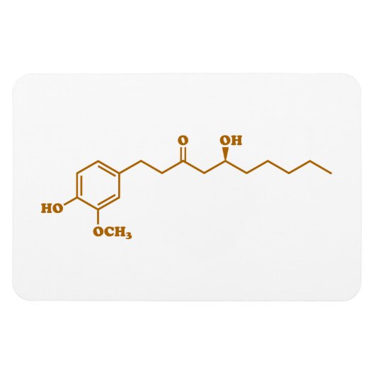 Magnet Flexible Gingerol Molecule formule chimique (Horizontal)