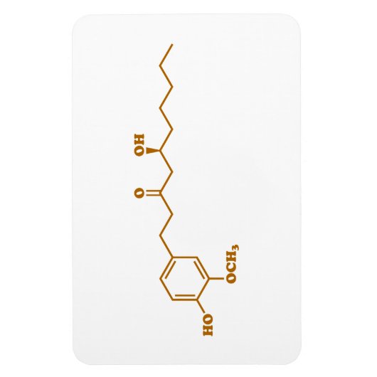 Magnet Flexible Gingerol Molecule formule chimique (Vertical)