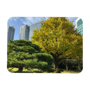 Magnet Flexible Ginkgo jaune doré et pin