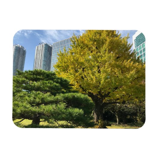 Magnet Flexible Ginkgo jaune doré et pin (Horizontal)