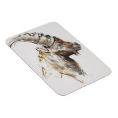Magnet Flexible Giovanotto 2005 (Côté Droit)