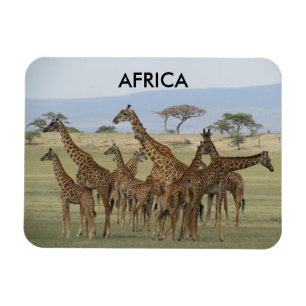 Magnet Flexible girafe afrique