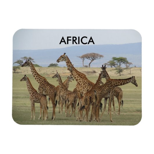 Magnet Flexible girafe afrique (Horizontal)