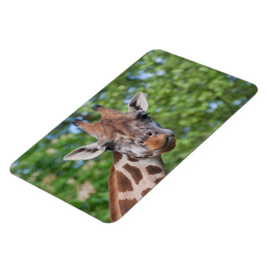 Magnet Flexible Girafe attentive (Côté Gauche)