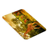 Magnet Flexible girafes sud-africaines (Côté Droit)