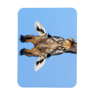 Magnet Flexible Giraffe