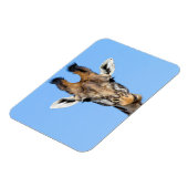 Magnet Flexible Giraffe (Côté Gauche)