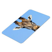 Magnet Flexible Giraffe (Côté Gauche)